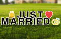 Just Married Yard Letters