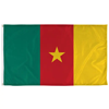 Image of "Cameroon" option for "International Flags"