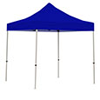 Image of "Canopy & Frame" option for "Canopy"