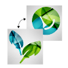 Image of "Double-Sided (Printed on both sides of material)" option for "Single or Double-Sided "