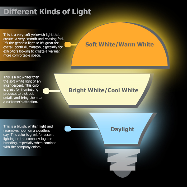 Light Bulb Infographic
