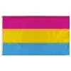 Image of "Pansexual" option for "Pride Flag"