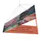 Image of "Printed Interior Fabric" option for "Interior Fabric"