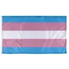 Image of "Transgender" option for "Pride Flag"