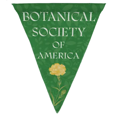 triangle banner