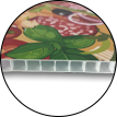 corrugated plastic